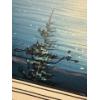 Image 5 : Lakeside Painting, 3 Pcs, By H. Jr (Square Centre Piece is 2Ftx2Ft) & 'Alert Cougar' By Ken C. Print
