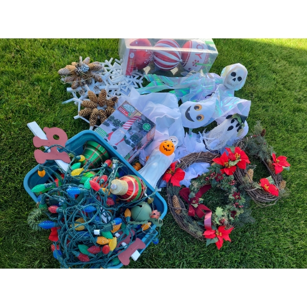 Variety of Halloween & Christmas Decor