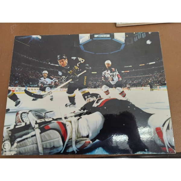 NHL Dallas Stars and St. Louis Blues Memorabilia