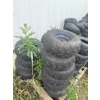 Image 8 : XXXL Tire Collection For Off Road Vehicles, Including Many with Rims 