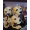 Image 4 : Resin Dogs in Basket Statue 12 T, 8 Diameter Base and 2X Concrete Single Dogs, Resin Group of Dogs