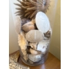 Image 4 : Awesome Sea Shells & Fossil Collection in Glass Vase 