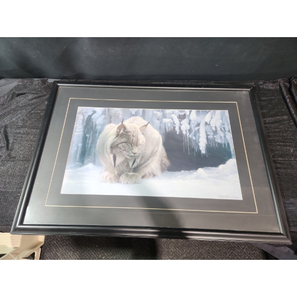 Framed and Signed Print of " Dozing Lynx "