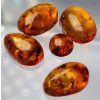 Image 3 :  Amber Set (8 ct total, largest 13×10 mm)