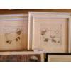 Image 2 : Collection of Framed Prints incl 2 Sheep Prints 15 1/2 w, 15 1/2 h.  