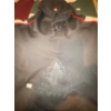 Image 3 : Assorted Vintage Sweaters Sweat Shirts & Outerware Size XL