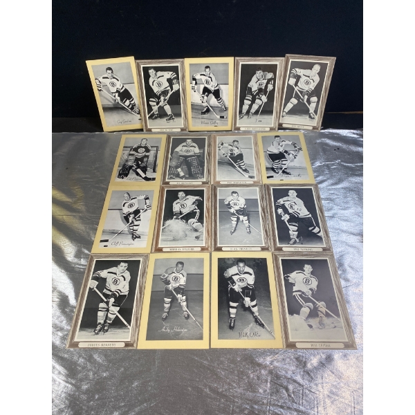 Boston Bruins Hockey Player Photos