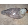 Image 3 : Bruce Decoys Duck # 66, 1985 