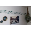 Image 1 : Macrame Plant Holster w/ Assorted Wall Art 25x16