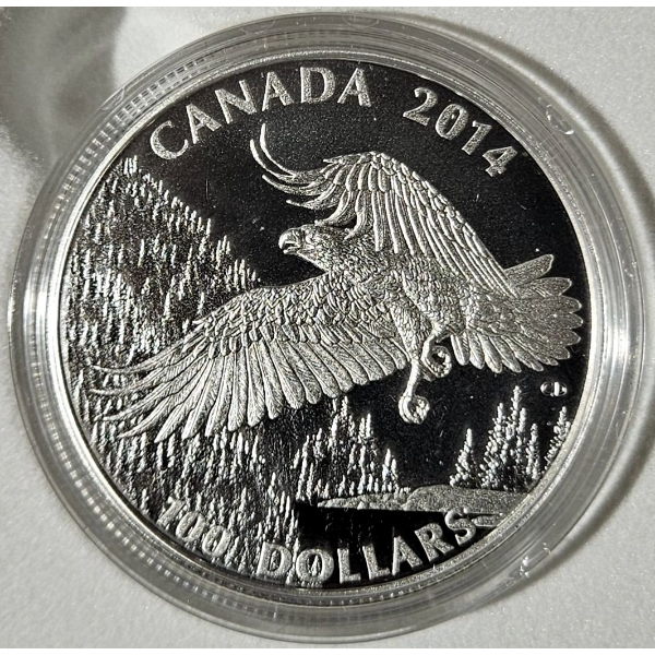 2014 $100 for $100 Majestic Bald Eagle - 99.9% Fine Silver Coin - #3