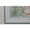 Image 4 : "Underwater Alaska",Artist:Barbara Lavallee,321/750,Offset Lithograph Framed Under Glass 22.5 X 28.5