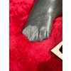 Image 2 : Pair of Seals Inuit Soapstone Carvings 8Wx4H, 4.5Wx1.5H
