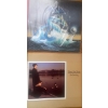 Image 4 : Assortment Of Vintage Vinyl  Tears For Fears, Golden Earring, April Wine, Tim Finn, Platinum Blonde 