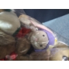 Image 3 : Stuffed Animals