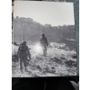 Image 3 : World War II Books