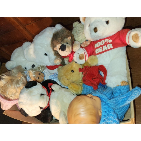- Dolls: w/ Pink 20 T, Stuffed Animals: Bear 15 T/ Moveable Limbs, Knit Clothes