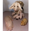 Image 3 : Boars Galore !! Decorative Pig Figurines & More 12L