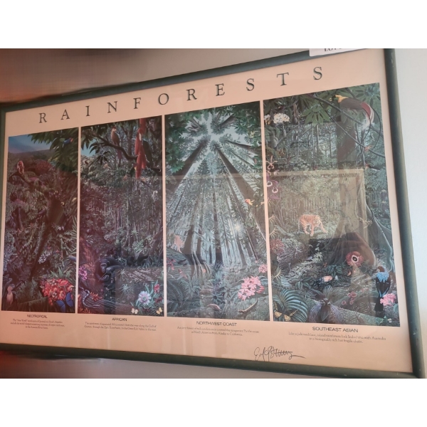 Rain Forest Print, Signature Unknown 37 w 24 1/2 h