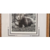 Image 6 : Glenn Korgaard Signed Limited Edition Wildlife Prints in Wooden Frames