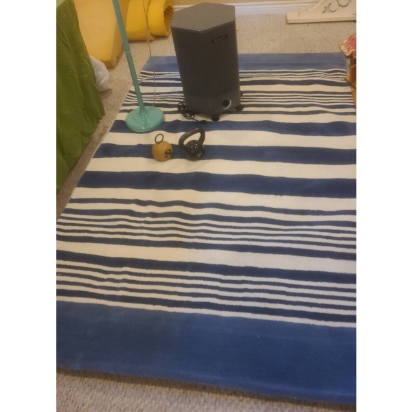 Adjustable Floor Lamp, Blue and White Area Rug, Amilcare Model 4000, 8 & 15lb Kettlebells
