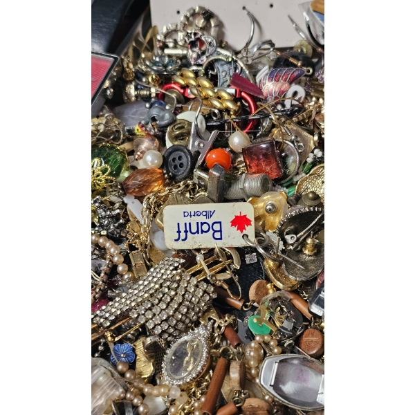 Costume Jewelry and Watches Lot