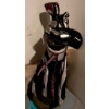Image 1 : Ladies Right Hand Ping Golf Clubs and Bag, Golf Balls, Golfer's Purse, Visor, "The Short Game" DVD