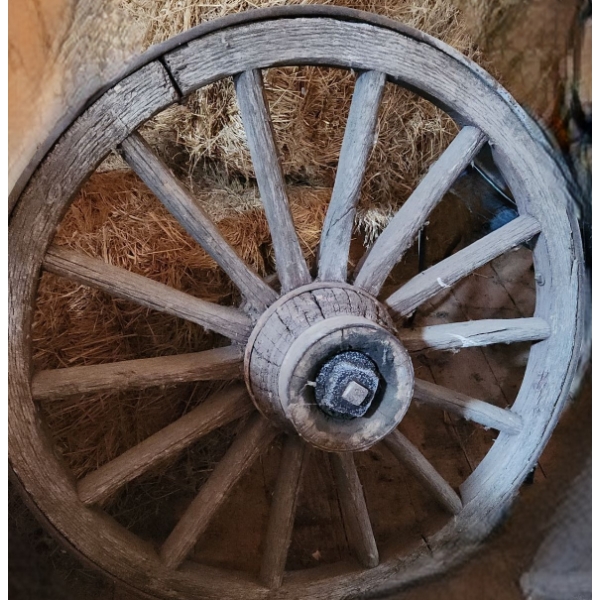 - Vintage Wheel 36" Diameter, Assorted Vintage Tack- Great for Decor! Not Suitable to Use w/ Animals