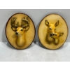 Chalk Deer, Buck, Doe and Fawn Head Mounts