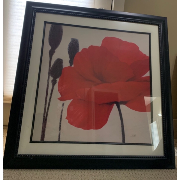 Poppy Still Art by Ivo 36x36