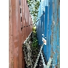 Image 4 : 40Ft Red Sea Can Side Entry Door - Contents Not Included 