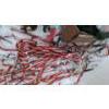 Image 4 : Outdoor Holiday Decor Includes: Candy Canes, Tallest: Santa Painted Wooden Cutout 45 T and More!