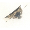 Image 1 : Small 10k Gold Ring W/ Gems/Stones Will Fit A Tiny Finger !