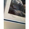 Image 5 : 'Forest Lair' Limited Edition Print By Andrew Kiss, Signed, 70 Yrs of Conservation 1709/2650 - 32x41