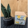 Image 5 : New Decorative Home Accessories and Emma Bridgewater Ceramic Mug