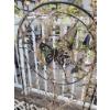 Image 2 : Two Butterfly Garden Metal Stands