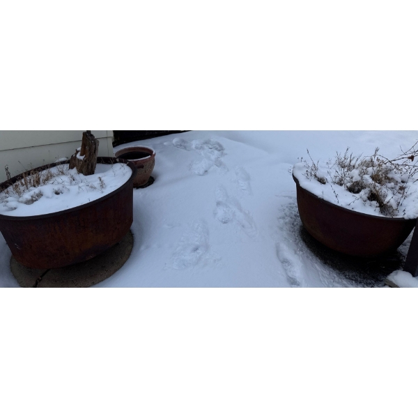 Barrels With Garden Decor