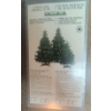 Image 9 : Lux Christmas Collection - Boujie Santa In Olive OverCoat New Holiday Garland Holographic Bulbs 