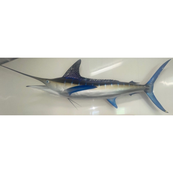 Swordfish 72L