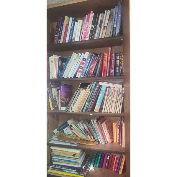 Contents of Bookshelves- Huge Selection of Books, Various Topics (3)