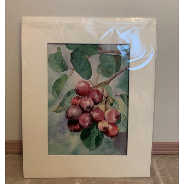 Lucille Bengay Still Life Water Color 16x20 No Frame 
