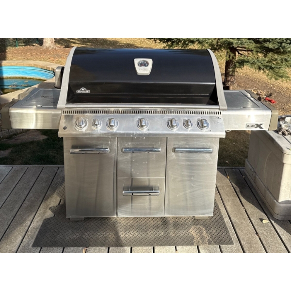 Napoleon Freestanding LEX Series Gas Grill  Prestige Barbecue For Outdoor Living
