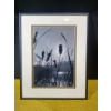 Image 2 : Striking Black and White Framed Photograph Print of Cattails