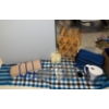 Image 1 : Picnic Pack - Folding Table Flannel Table Cloth Insulated Cooler Tanning Matt & More