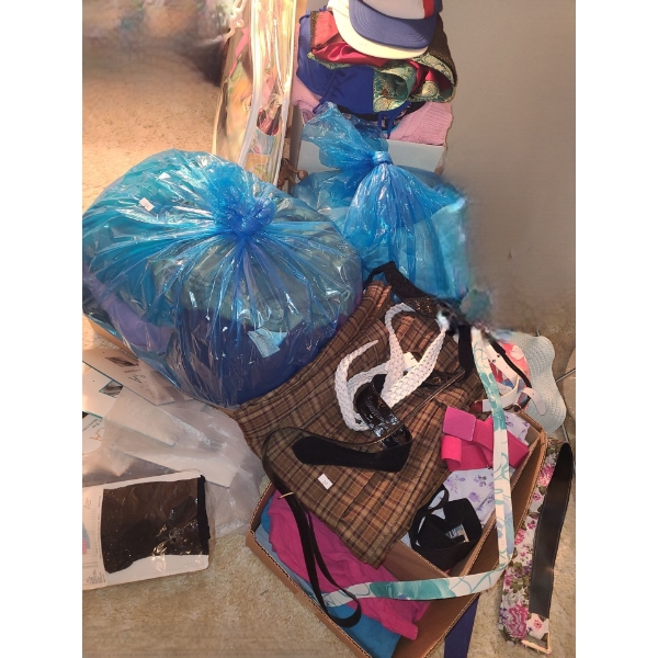 Vintage Closet Contents/ Various Sizes Women's Clothing and Accessories 