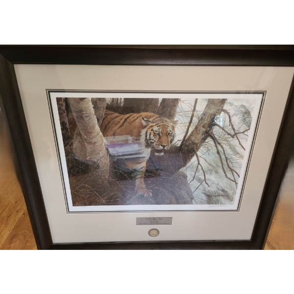 "On The Edge- Tiger", 1593/7000, Artist Robert Bateman, 36.5 x 32 Framed Under Glass