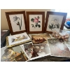 Image 1 : Collection of four readers digest collection, framed botanical art prints featuring floral illustrat