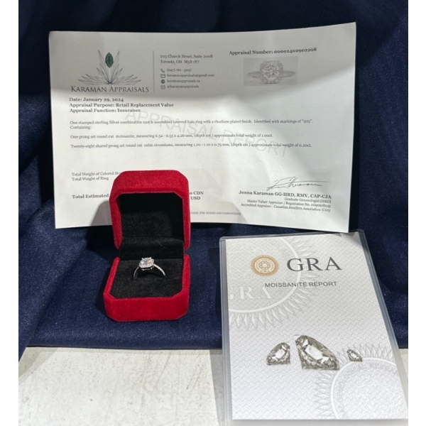 1ct Round Moissanite with 28 Cubic Zirconium Chips Set in Sterling Silver Ring
