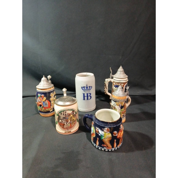 Various Beer Steins Collection