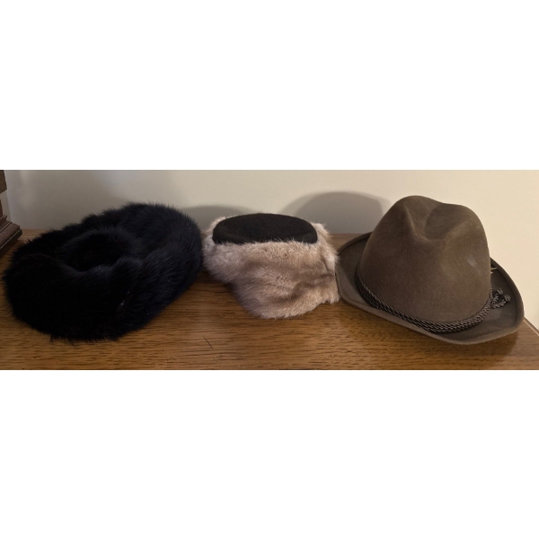 Furs - Mink Fur Hat, Fur Hat, Biltmore Rideau (Canada) Mens Hat Size 7.25 