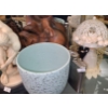 Image 3 : Contents of Shelf, Assorted Decor/ Barware- Discolobus Statue 11 T 